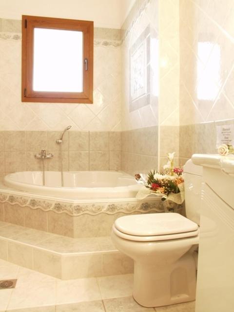 Hotel Archontiko Dimitra Vergína Cameră foto